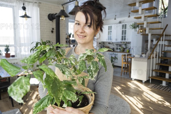 A happy woman in a green house with a potted plant in her hands smiles, takes care of a flower. The interior of a cozy eco-friendly house, a fireplace stove, a hobby for growing and breeding homeplant