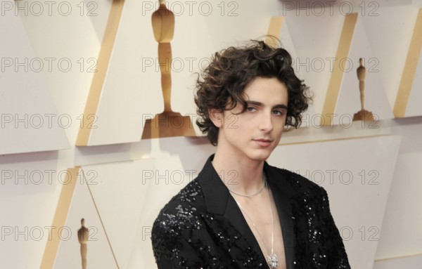 Timothée Chalamet at the 94th Annual Academy Awards held at the Dolby Theatre in Los Angeles, USA on March 27, 2022