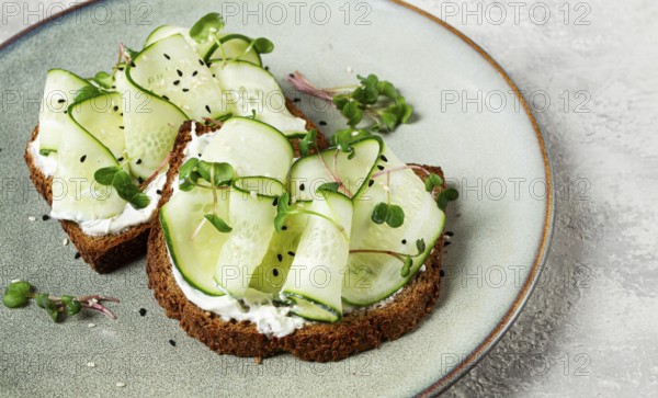 Breakfast, cereal bread sandwiches, cream cheese, sliced cucumber, with micro greenery on a light table, close-up, top view, selective focus, no people