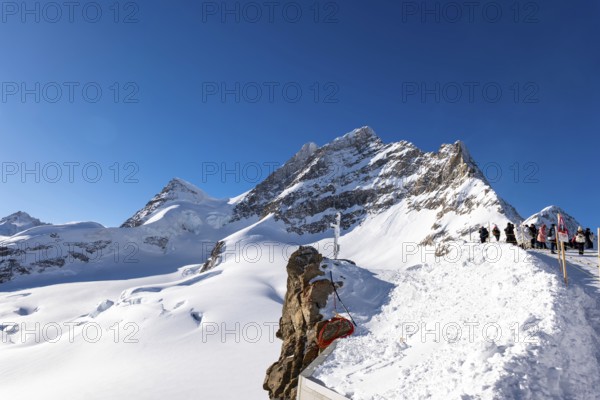 Mountain Peak Jungfrau 4158 Meters High and Aletsch Glacier in a Sunny Winter Day with Snowcapped with Sunlight in Berner Oberland, Grindelwald, Canton Bern, Canton Valais, Switzerland, Europe