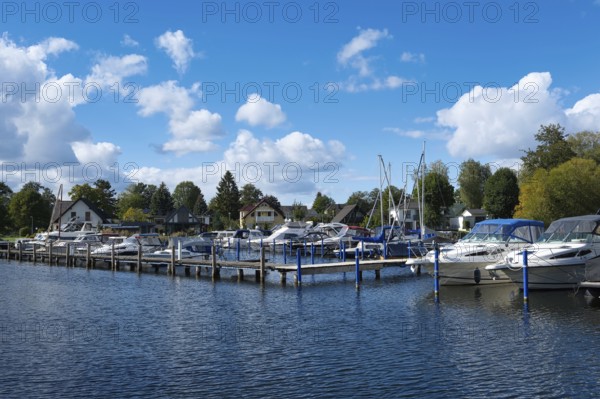 Marina on Lake Scharmützelsee, Wendisch-Rietz, Brandenburg, Germany, Europe
