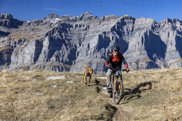 Trail biker and trail dog, Magyar Vizsla, behind Leeshörner, Leukerbad, Valais, Switzerland, Europe