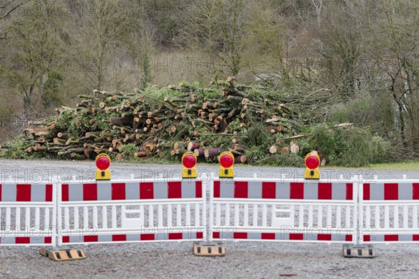 Stacked logs in a storage yard after helicopter transport from a difficult-to-access ravine forest, helicopter, ash dieback, tree disease, disease, ash tree, tree, fungus (Hymenoscyphus pseudoalbidus), fungal infection, fungal disease, road safety obligation, accident risk, accident risk, ash cloud, tree felling work, logging work, Schwäbisch Hall, Germany, Europe