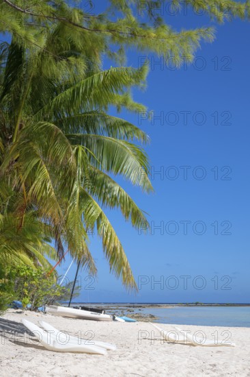 Coconut palm (Cocos nucifera), sunbeds, boats, Tikehau, atoll, Tuamotu archipelago, Tuherahera, Rangiroa, French Polynesia, Oceania