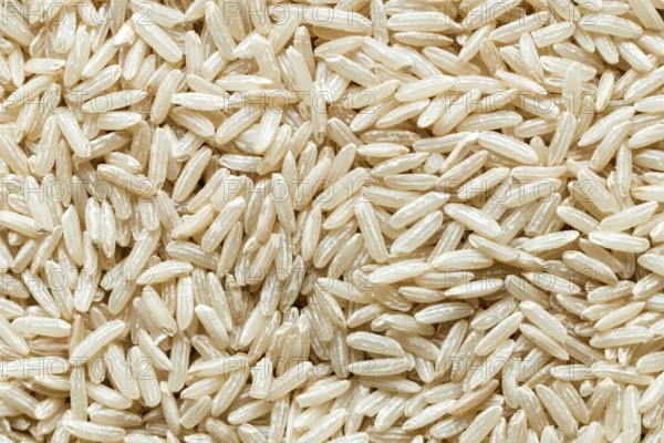 Close up rice grains