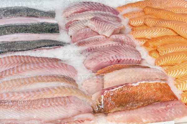 Fresh fish fillets for sale at the fish market