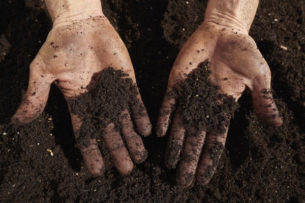 Farmer man hands dirty on substratum of urban garden orchard