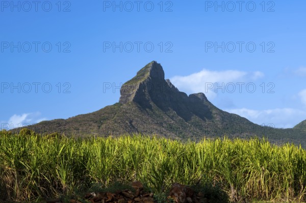 Mountain, Rempart Mountain, little Matterhorn, Cascavelle, west coast, Indian Ocean, island, Mauritius, Africa