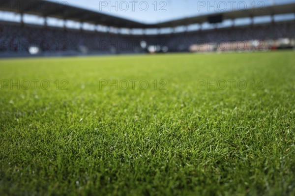 Grass at the football stadium during sunny summer day
