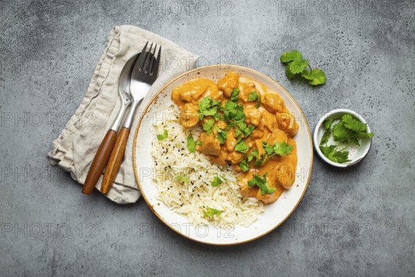Traditional Indian dish chicken curry with basmati rice and fresh cilantro on rustic white plate on gray concrete table background from above. Indian dinner meal, food photography, food photography