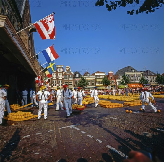 Cheese Market in Alkmaar, Netherlands
