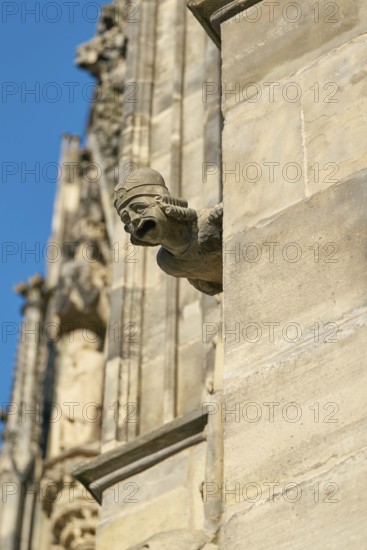 Sandstone gargoyle on the medieval façade of Magdeburg's Gothic cathedral
