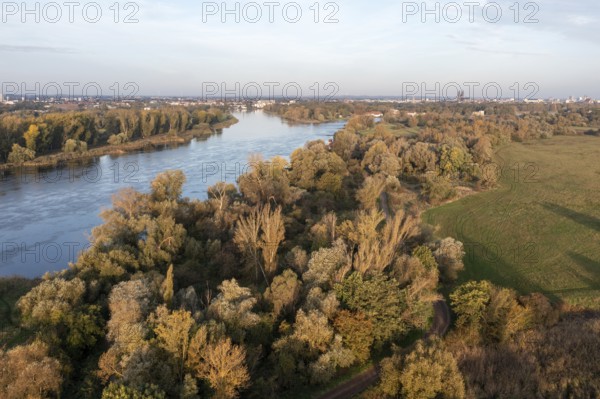 View over an autumnal river landscape with extensive forests, Elbe, Mageburg Cathedral on the horizon, Magdeburg, Saxony-Anhalt, Germany, Europe