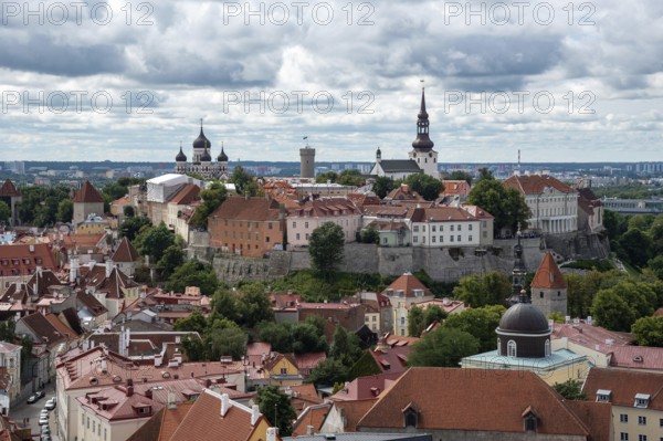 Tallinn Estonia cityscape. View from tower of Saint Olaf Church of old the city of Tallin. Toompea castle Hill