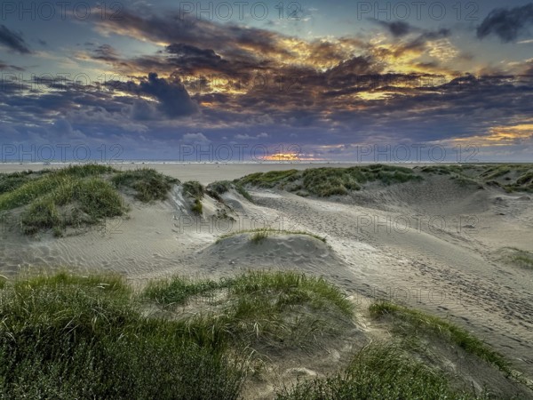 Sunset on the beach at Romo, Denmark, Europe