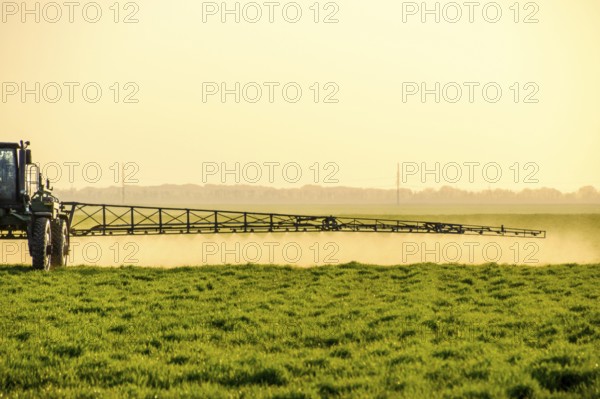 Tractor sprays fertilizer on wheat field