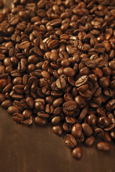 Toasted coffe beans texture under golden light