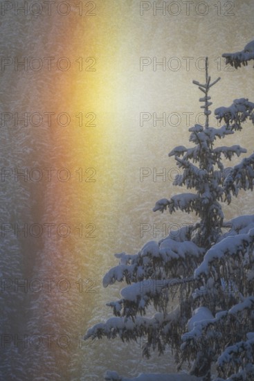Winter rainbow with deep fresh snow at sunrise