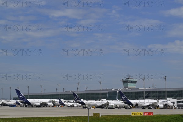 Various Lufthansa aircraft at check-in position in front of satellite, Terminal 2, Terminal 2, Munich Airport, Upper Bavaria, Bavaria, Germany, Europe