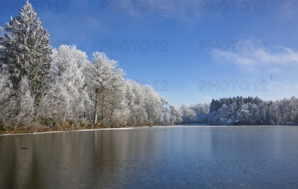 Frozen small lake with frost trees and blue sky near Füramoos, Baden-Württemberg, Germany, Europe