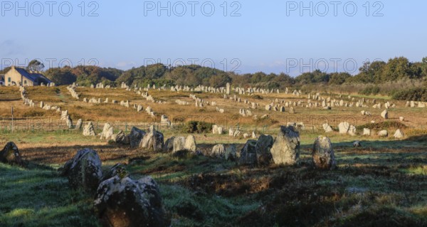 Prehistoric stone rows from Menec, Alignements de Carnac, Morbihan department, Bretagne Breizh region, France, Europe