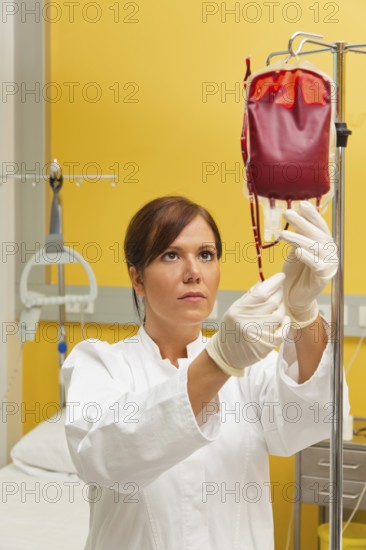 A nurse in hospital with blood bottle. Infusion of donor blood, A nurse in hospital with blood bottle. Infusion of donor blood. Austria