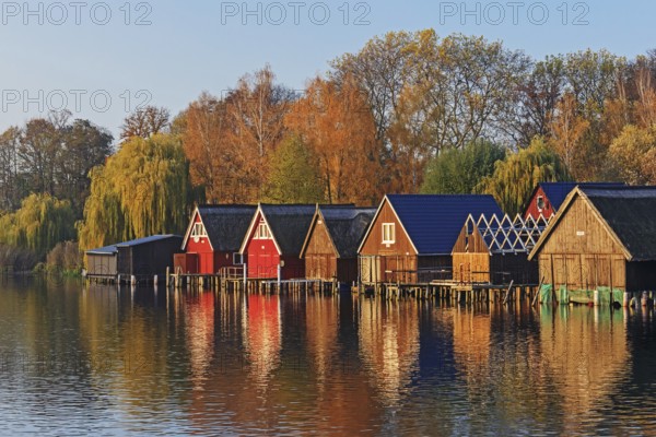 Boathouses on the Müritz near Röbel in Mecklenburg-Vorpommern in the evening light. With trees in autumn foliage. Wooden boathouses at lake Muritz (Müritz) near Robel (Röbel) with trees autumn foliage in evening light in Mecklenburg-Vorpommern, Germany. Autumn landscape