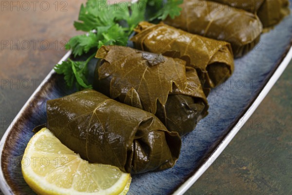 Dolma, minced meat with rice, in grape leaves, rolls with minced meat, on a plate, top view, no people, tolma, grape leaves with filling