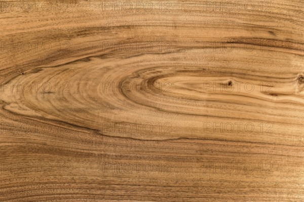 Background and textures of Walnut wood decorative furniture surface