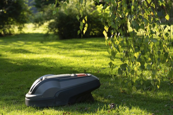 Ein Rasenmähroboter auf einer grünen Wiese im Sonnenlicht in einem Garten mit Bäumen, The mowing robot mows the grass