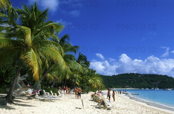 Jost Van Dyke, British Virgin Islands, Caribbean, North America