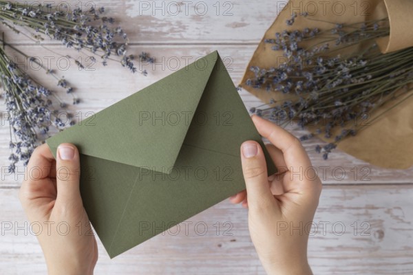 Flat lay composition of female hands holding green envelope with dry lavender flowers. Copy space template mock up. Top view. Concept of Wedding invitation postcard. Business advertisement brand blank