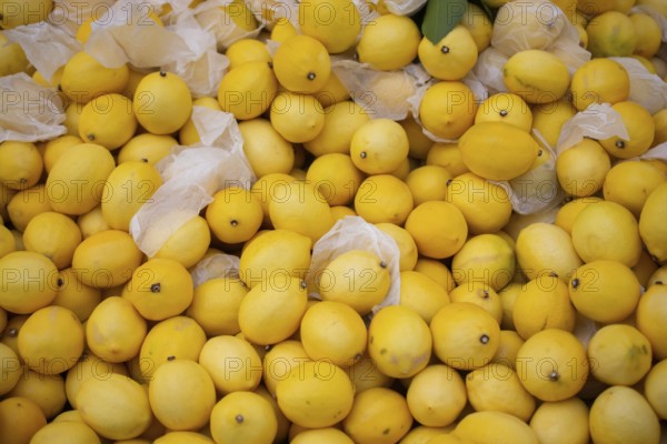Lemons Citrus fruits on a market as texture or background
