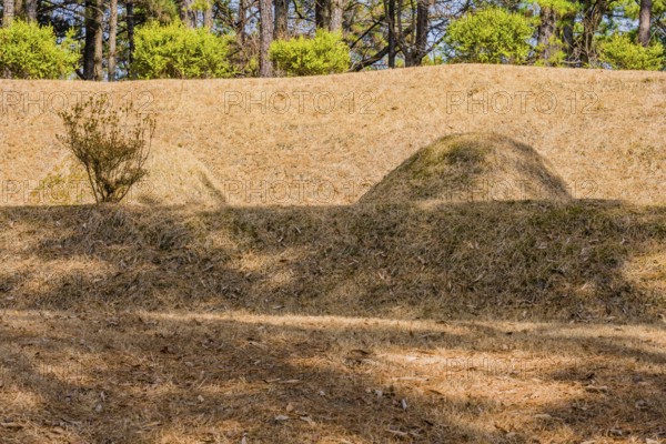 Two burial mounds in a wooded area with small green bushes in background bathed in sunlight, South Korea, South Korea, Asia