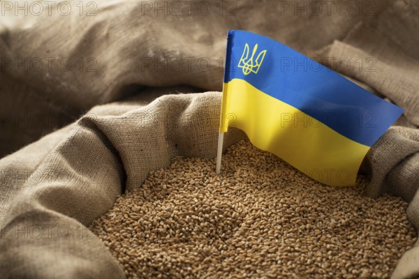 Burlap sack with wheat grains and Ukrainian flag concept