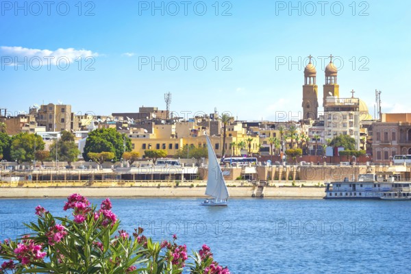Flowers near river Nile with the view of Luxor city