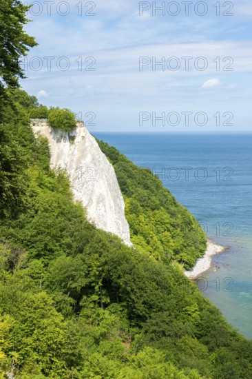 The Königsstuhl, a chalk cliff near Stubbenkammer