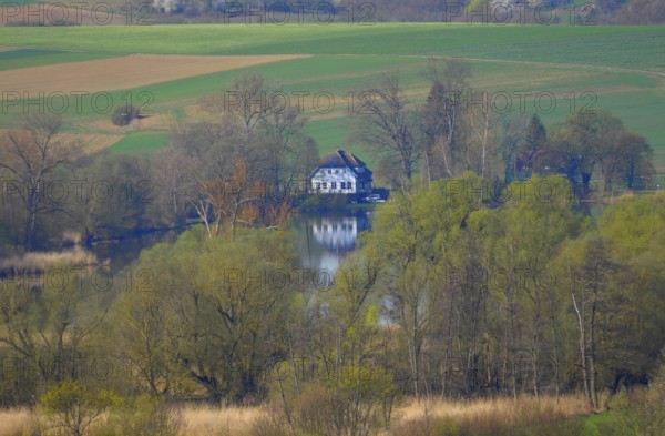 Maulbronn, Aalkistensee from Elfingerberg
