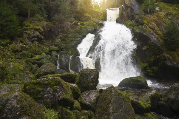 Triberg waterfall in the Black Forest, highest fall in Germany, Gutach river plunges over seven major steps into the valley, wooden bridge