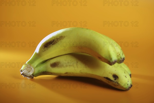 Bananas fruit cluster over orange yellow background