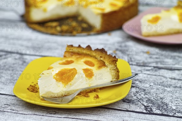 Freshly baked Schmandt cake with tangerines