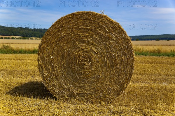 Round bale of straw in a field