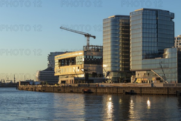 Modern architecture on the Elbe in the evening light on the promenade in Überseequartier, Hafencity, Hamburg, Germany, Europe