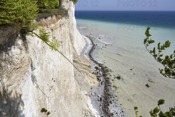 View of the beach below the cliffs and the chalk cliffs, on the high shore path, Jasmund National Park, Rügen Island, Baltic Sea coast, Mecklenburg-Western Pomerania, Germany, Europe