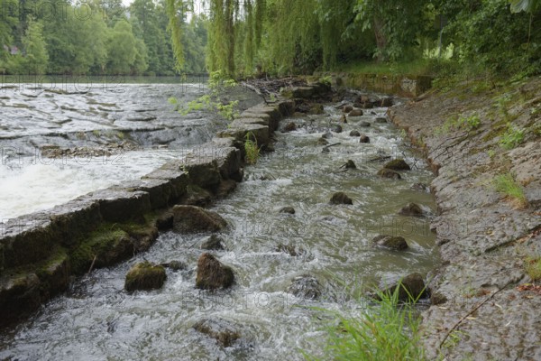 Fish ladder on the Kocher in Künzelsau, Kocher Valley, Hohenlohe, Heilbronn-Franken, Baden-Württemberg, Germany, Europe