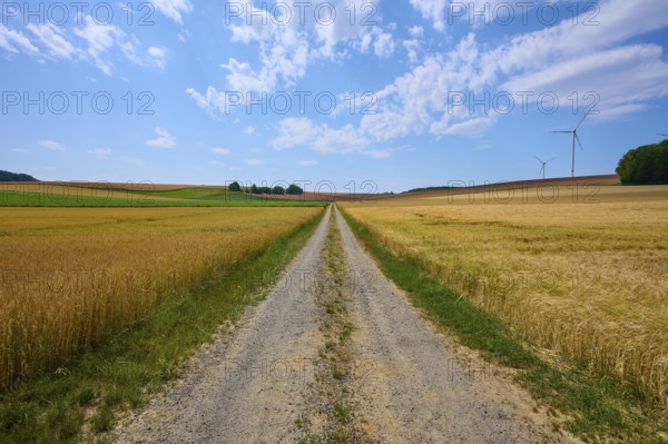 Rural country lane between cornfields with wind turbines and cloudy sky, summer, Retzstadt, Main Spessart district, Bavaria, Germany, Europe