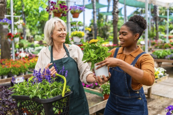 Two female florists or gardeners are smiling and holding plants and flowers in a greenhouse or plant nursery