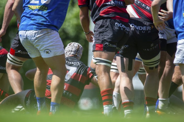 Rugby 1st Bundesliga South/West, 2024/25 season, final phase semi-final: SC Frankfurt 1880 vs SC Neuenheim