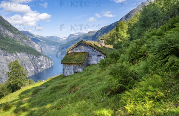 Blomberg Gård, historic mountain farm with grass roof on a steep mountainside above the Geirangerfjord, view of idyllic fjord landscape, near Geiranger, Møre og Romsdal, Norway, Europe