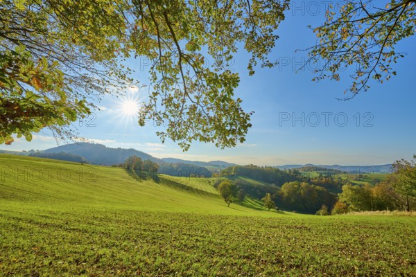 Sunlit hills with green landscapes and trees under a clear sky, Vöckelsbach, Mörlenbach, Bergstrasse district, Odenwald, Hesse, Germany, Europe